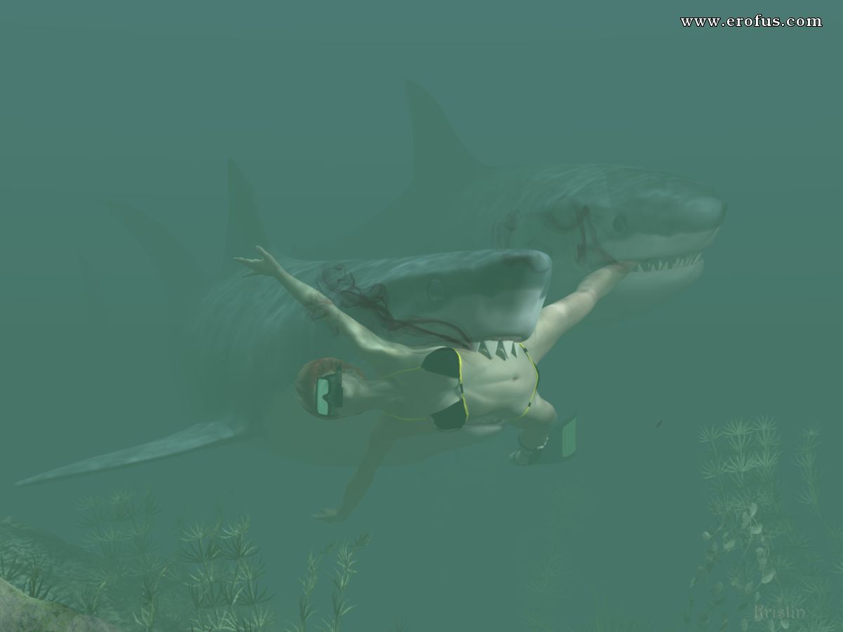 sharks_.jpg